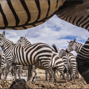 9-Days Magical Kenya Safari