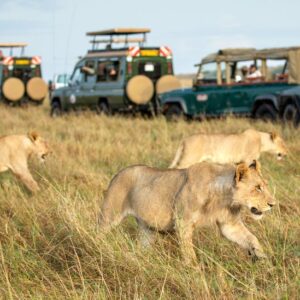 18 Day Ultimate Uganda Safari