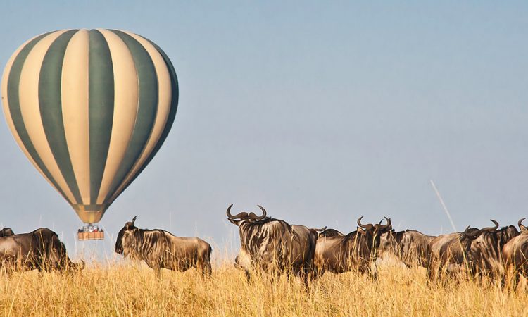 7-Days Amboseli and Masai Mara National park