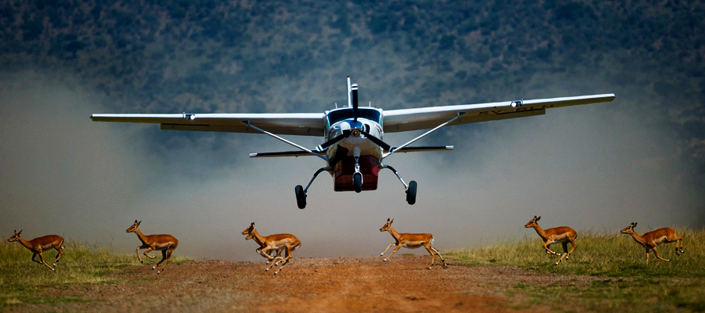 Fly in Safaris