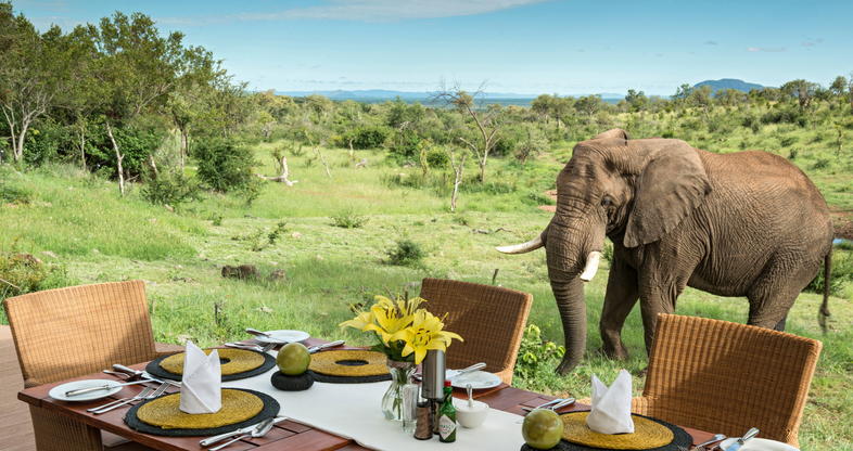 African Safari All Inclusive Holidays