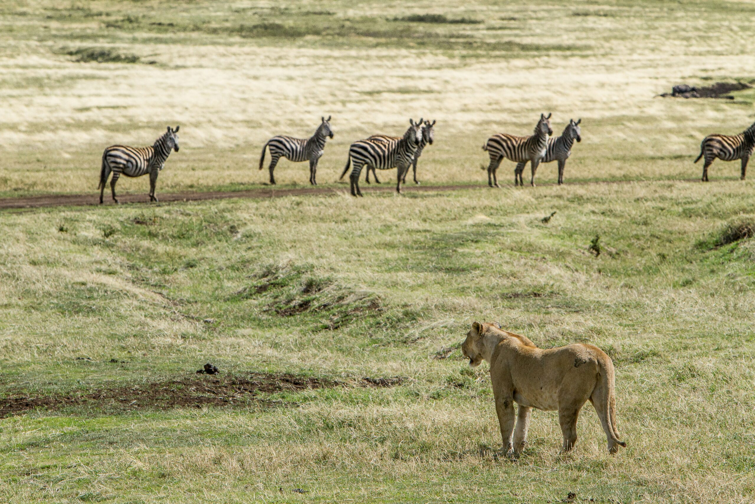 4x4 Hire Tanzania
