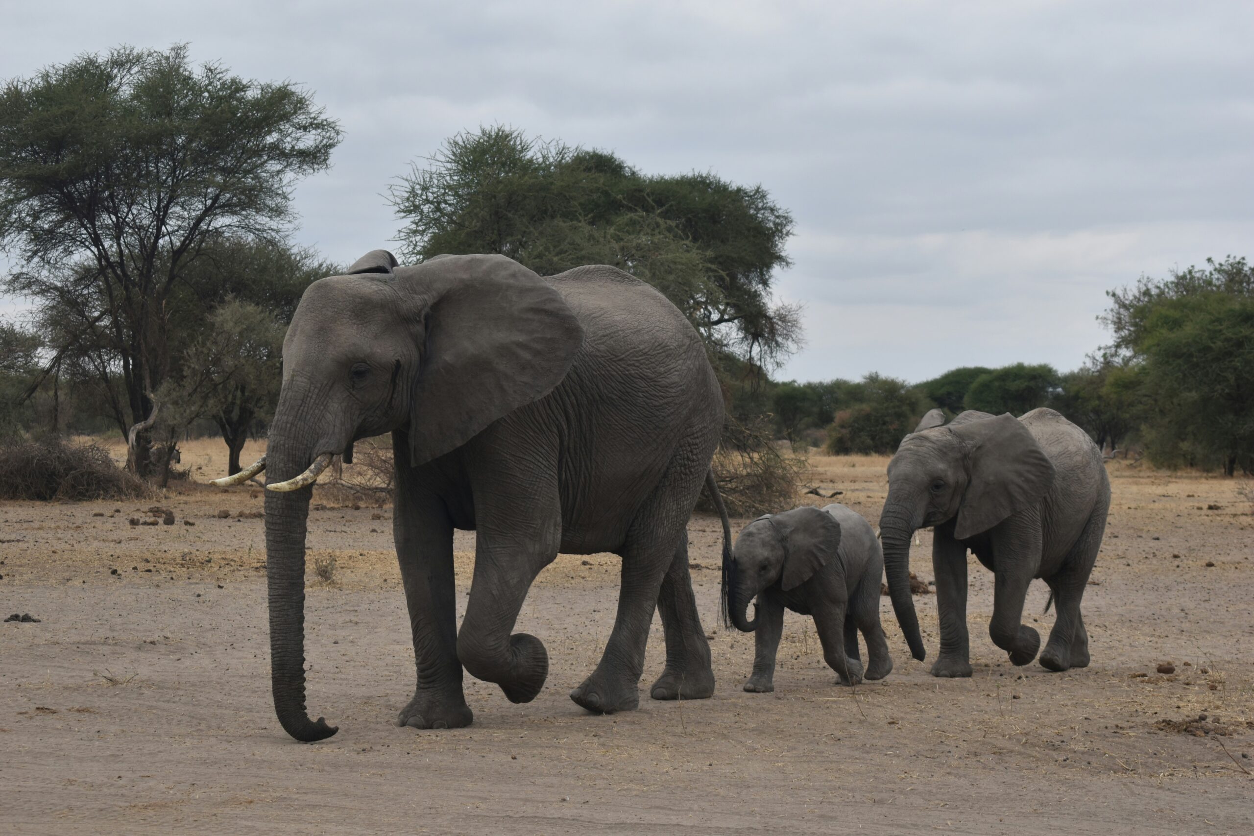 Top Things to Do in Uganda