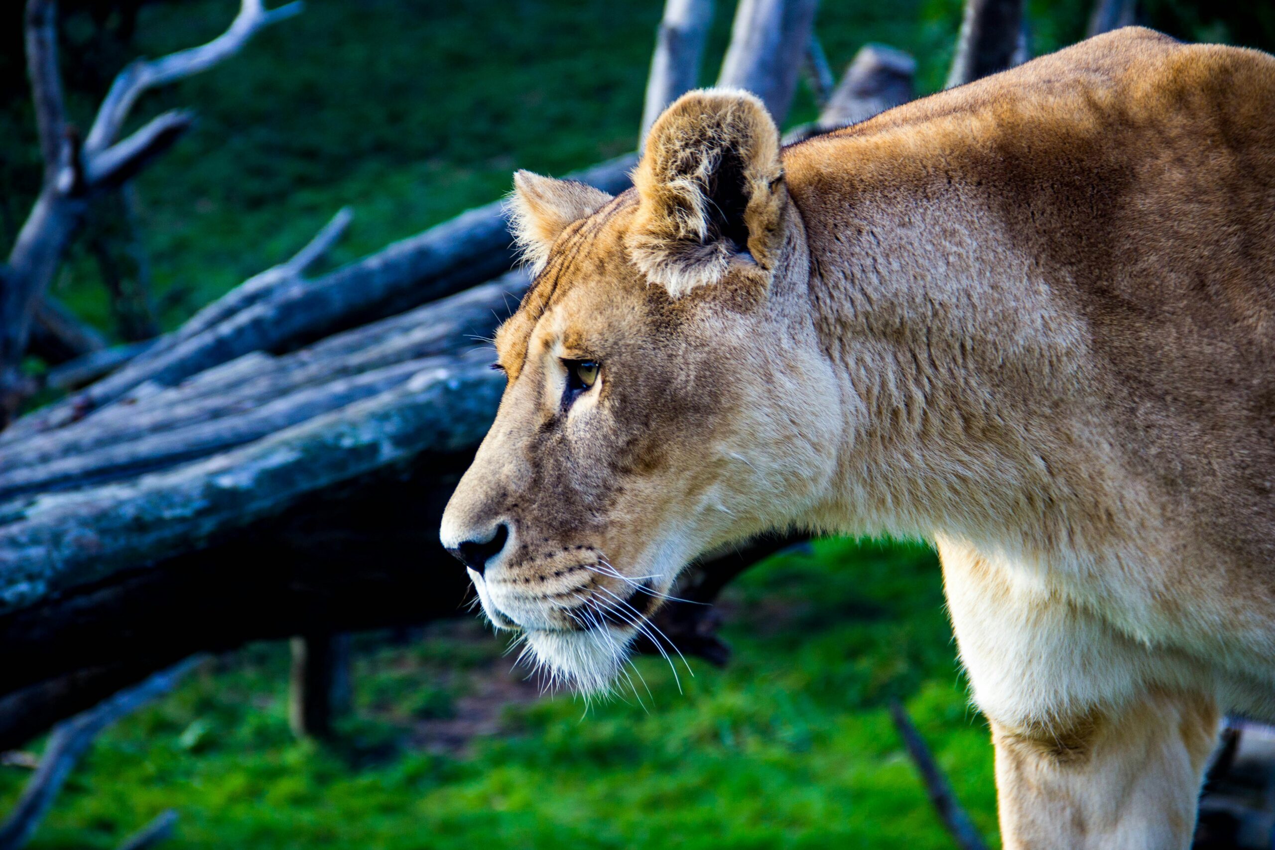 Best Tour Companies in Uganda