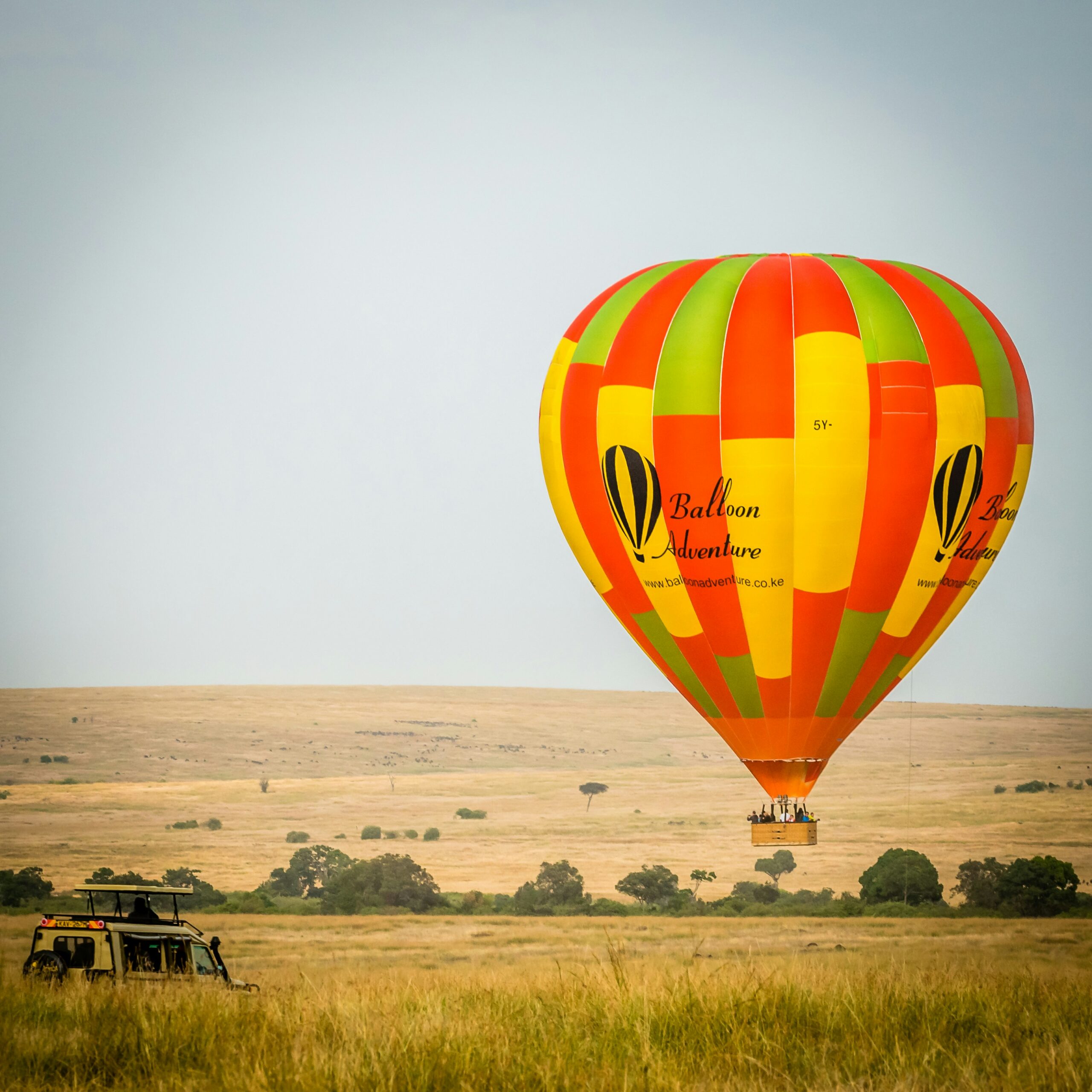 Kenya safari tours