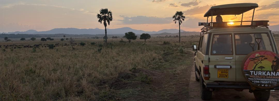 5-Days Uganda Wildlife Experience and Gorilla Trekking