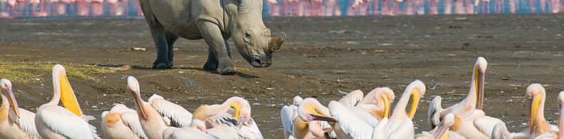 3-Days Lake Nakuru National Park