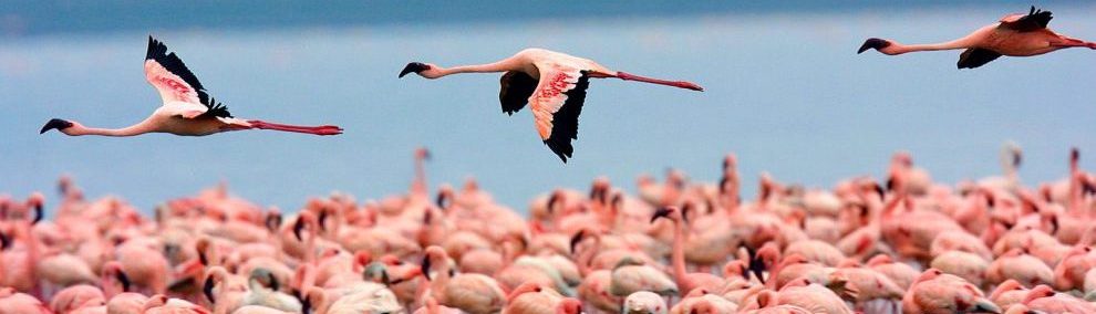 3-Days Lake Nakuru National Park
