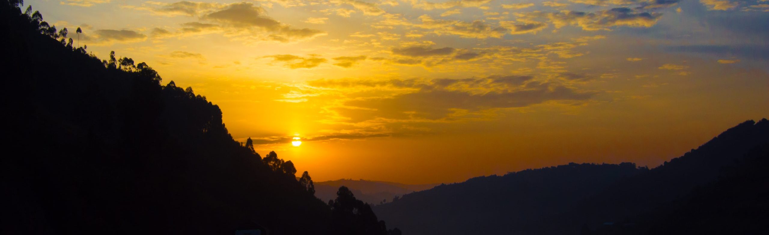 Bwindi Impenetrable National Park