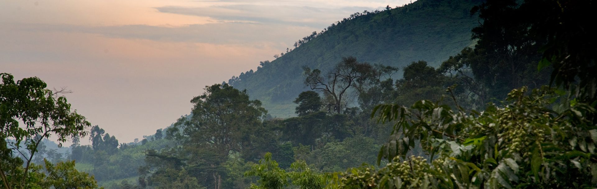 5-Days Uganda Wildlife Experience and Gorilla Trekking