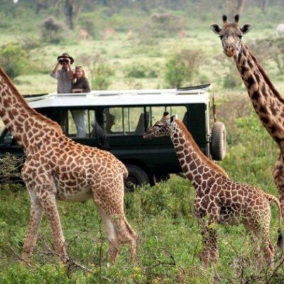 3-Days Budget Murchison Falls