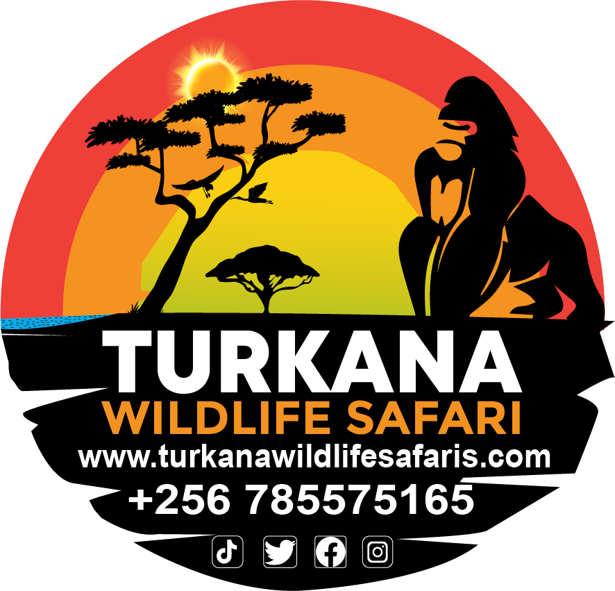 Tukana Wild Safaris