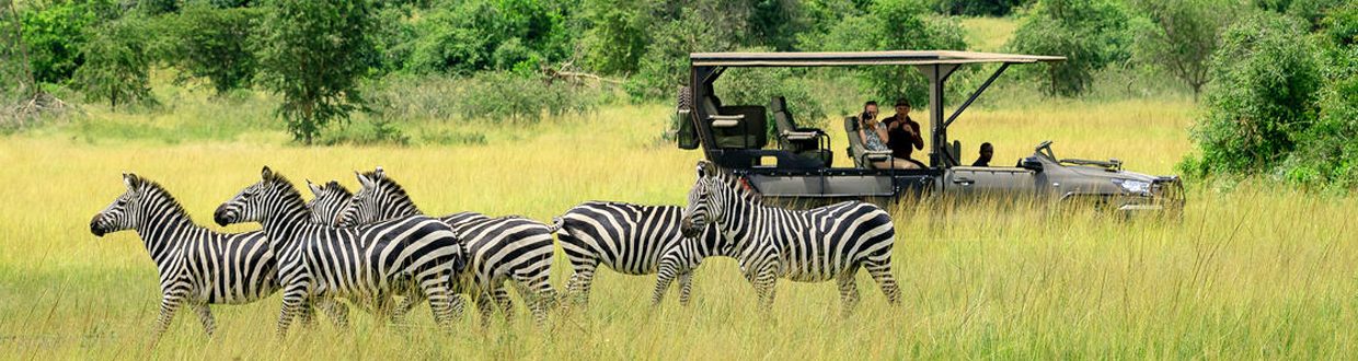 6-Days Best of Rwanda Wildlife Safari