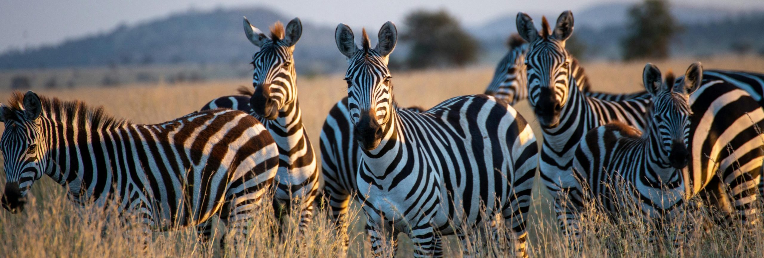 Lake Mburo National Park