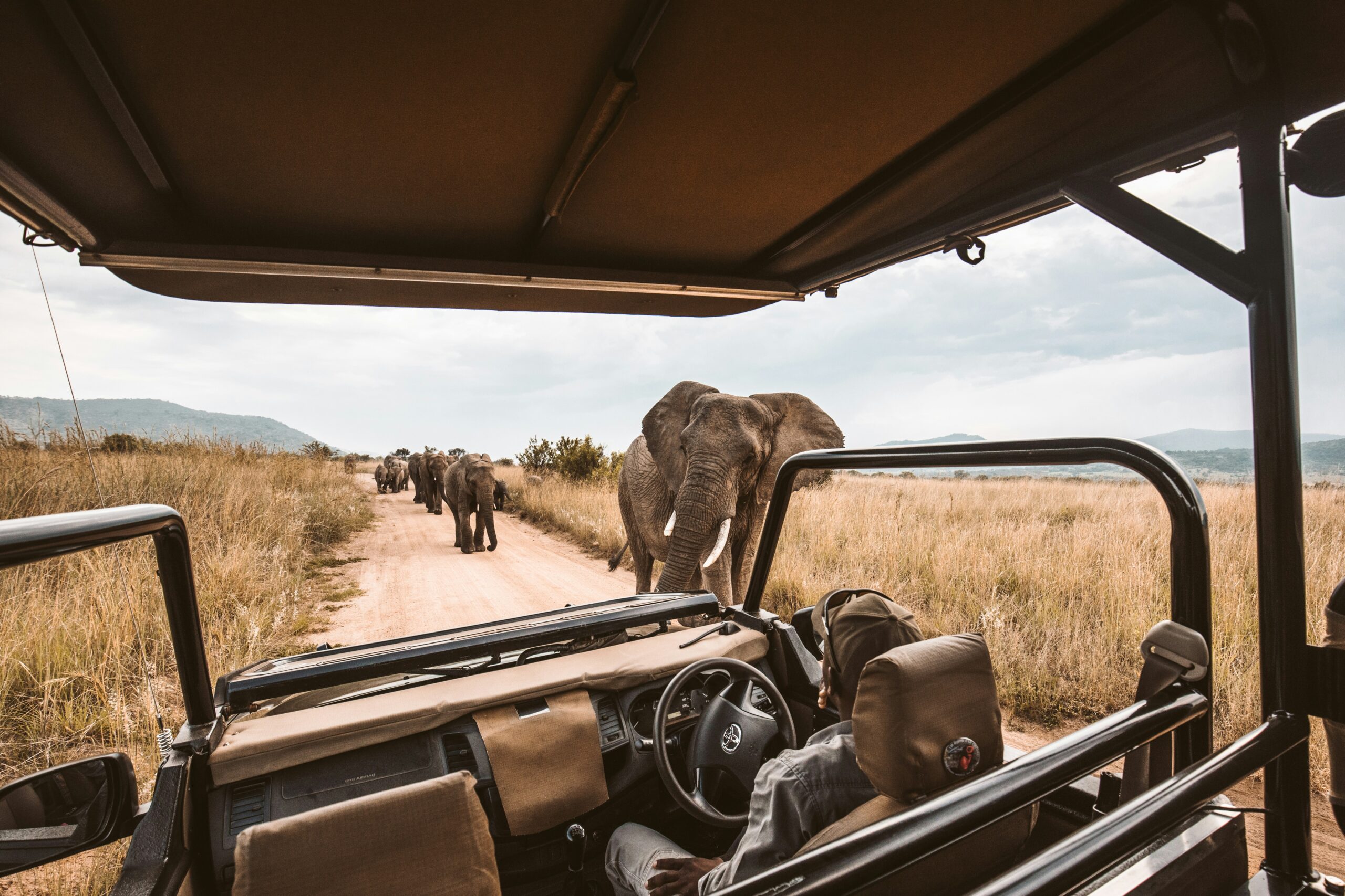 Things to Do in Uganda