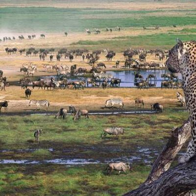 8-Days Best of Kenya and Tanzania