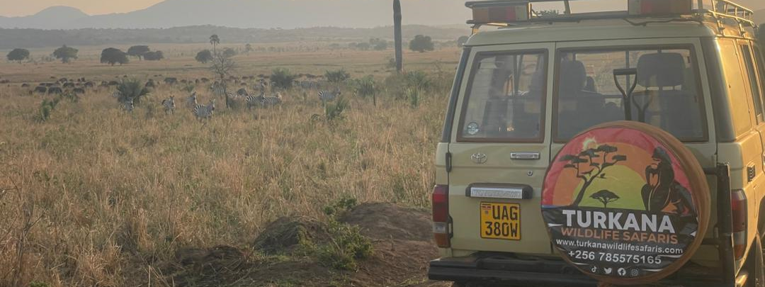 5 Days Big 5 Safari and Chimp Trekking