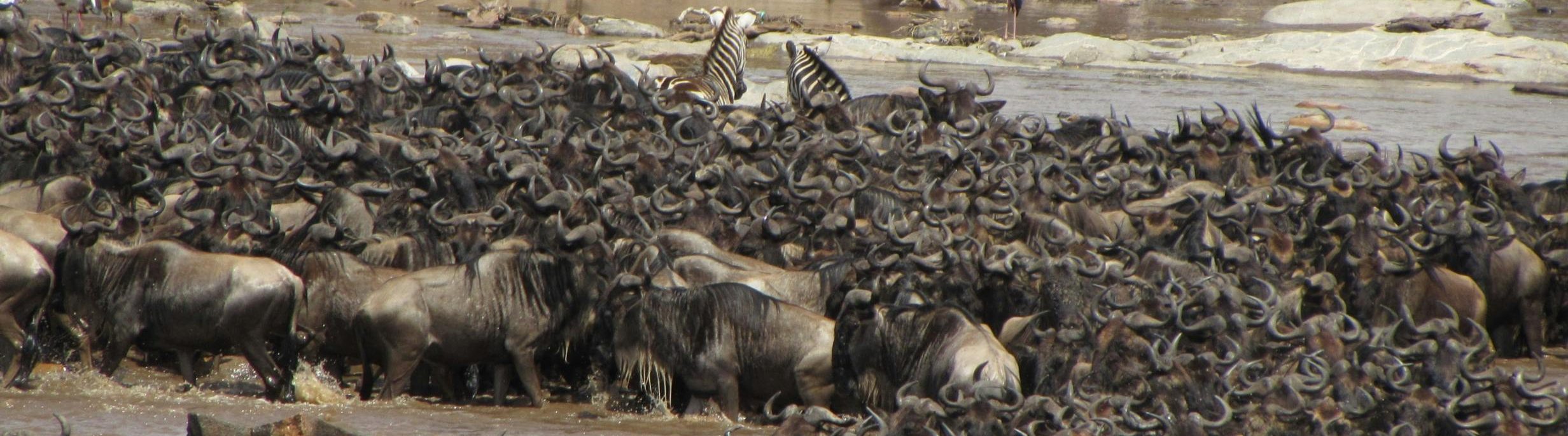 3-Days Masai Mara National Park