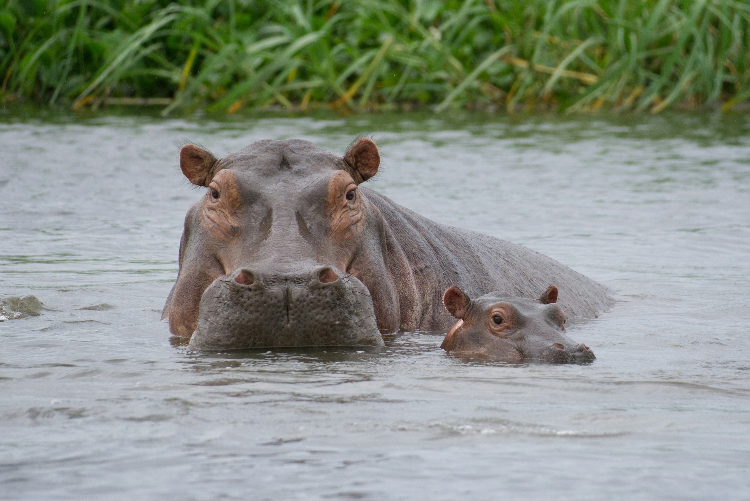 Murchison Falls National Park outdoor activities