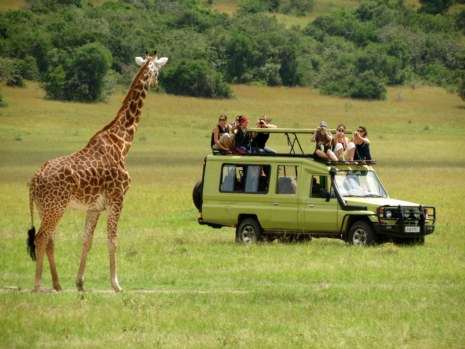 African Safari Photography