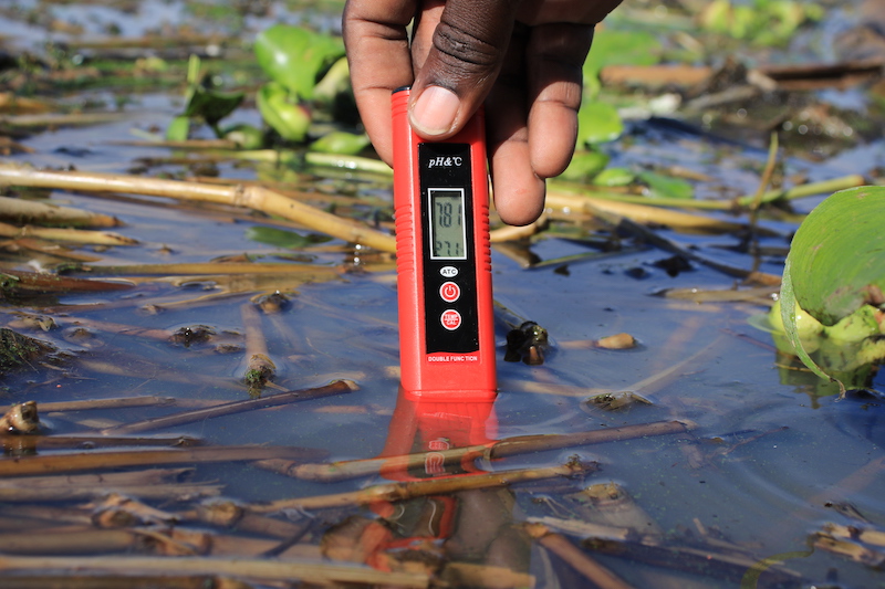 Lake Victoria Environmental Issues