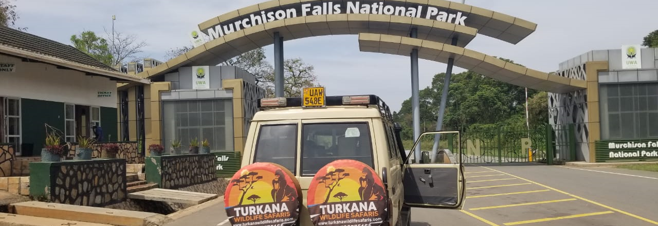 5-Day Holiday to Murchison Falls National Park