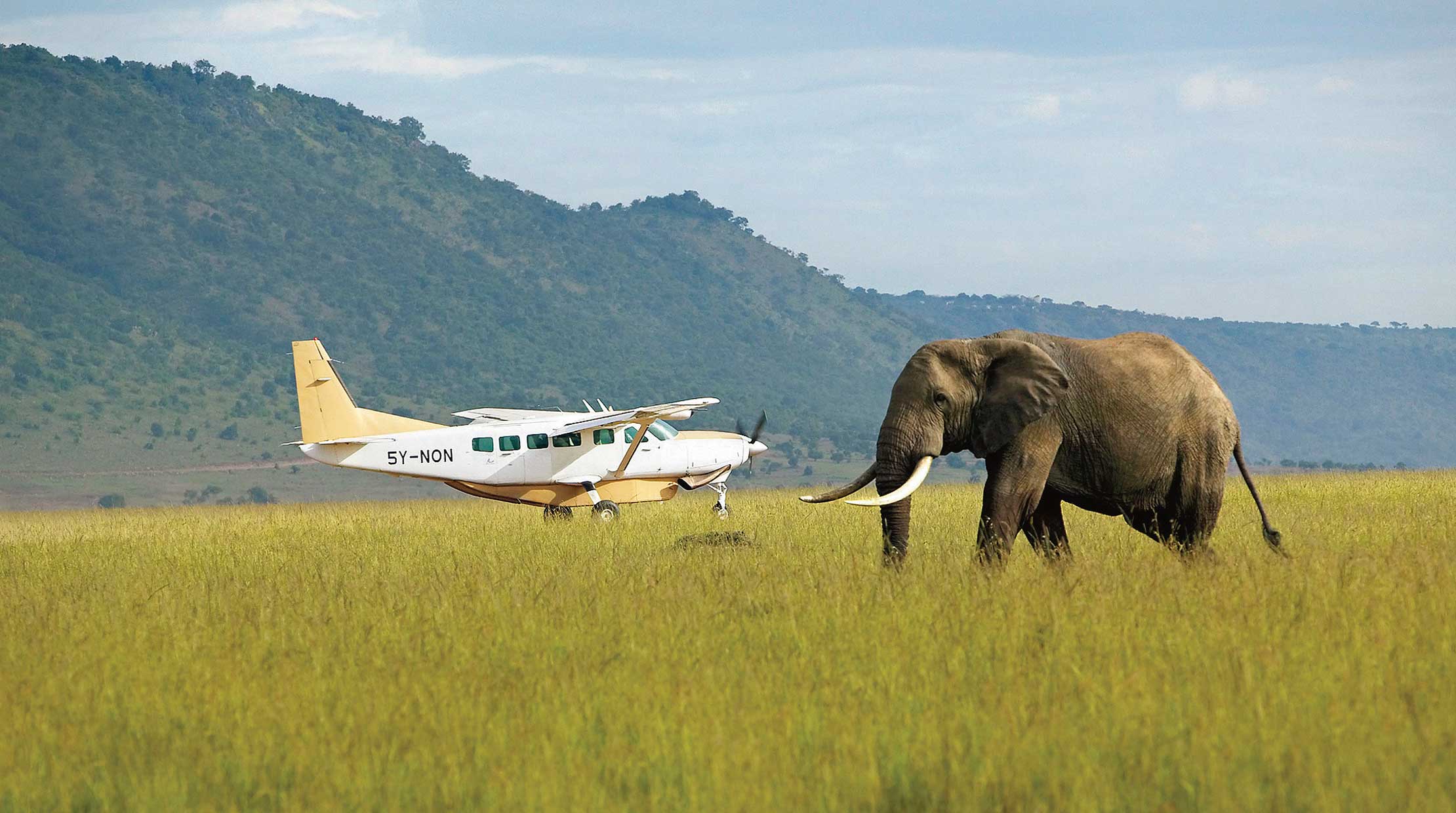 Bush Flights on African Safari