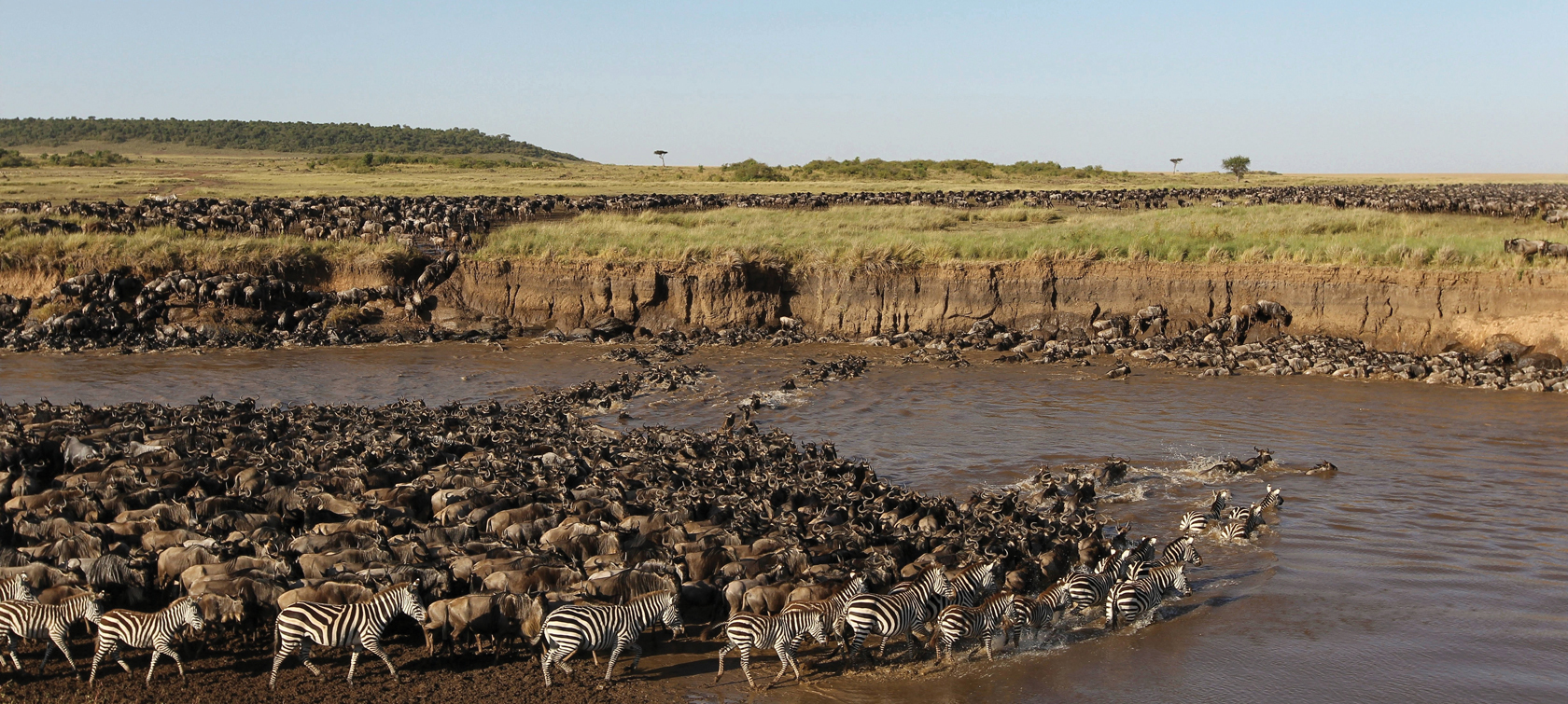 Migration Season in Africa