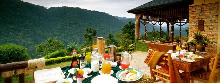 Silverback Lodge
