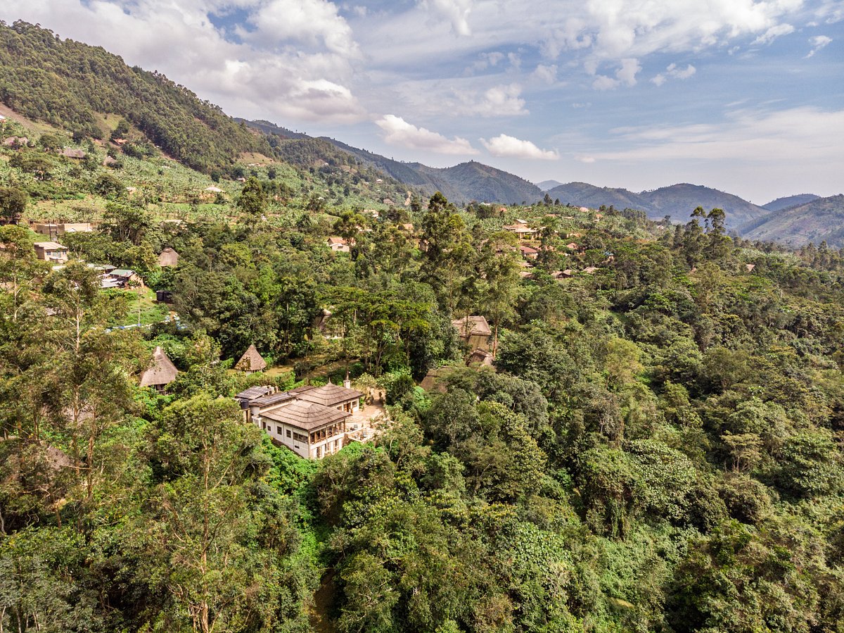 Bwindi Forest Farm