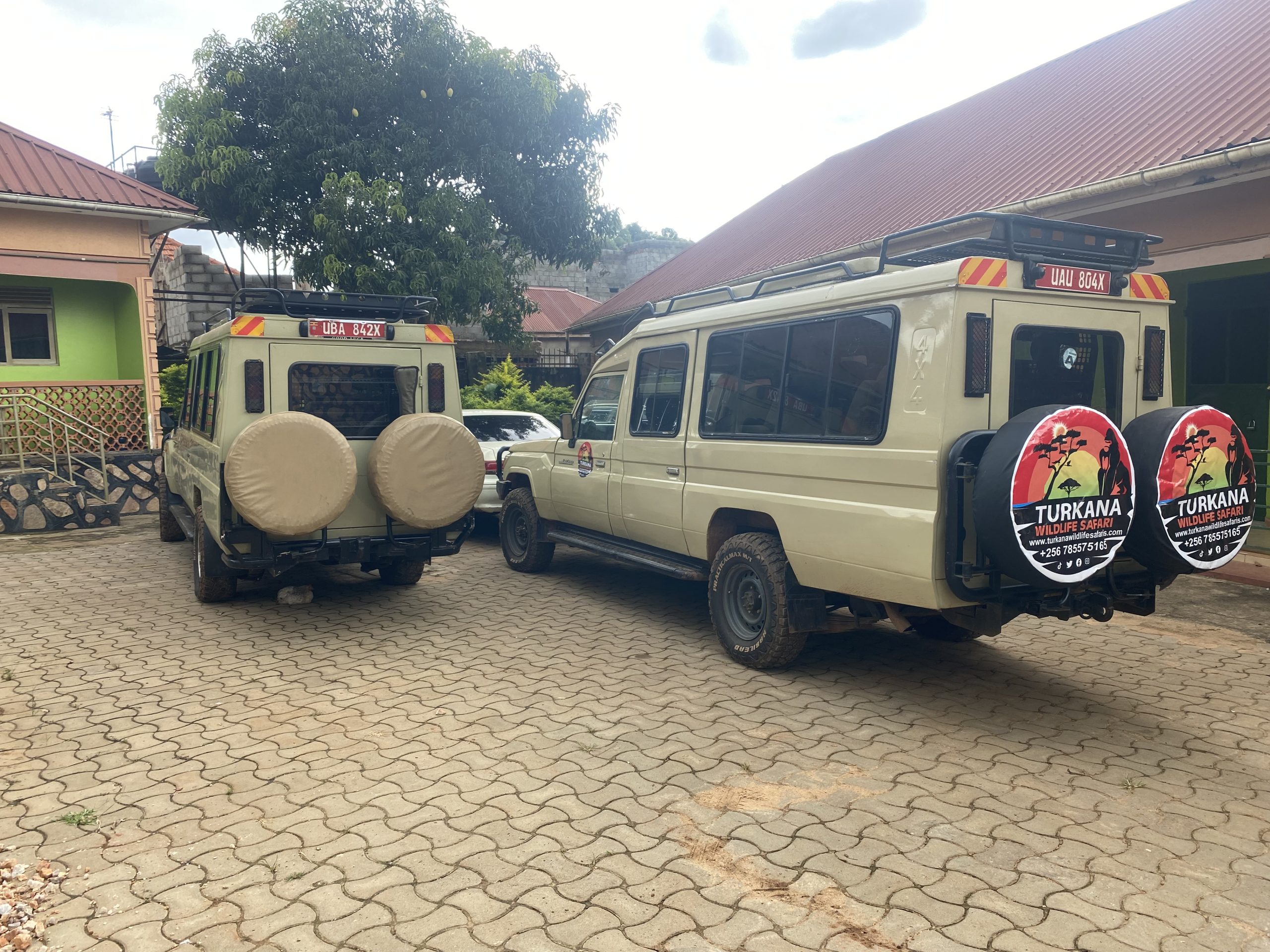 Safari Operators in Tanzania