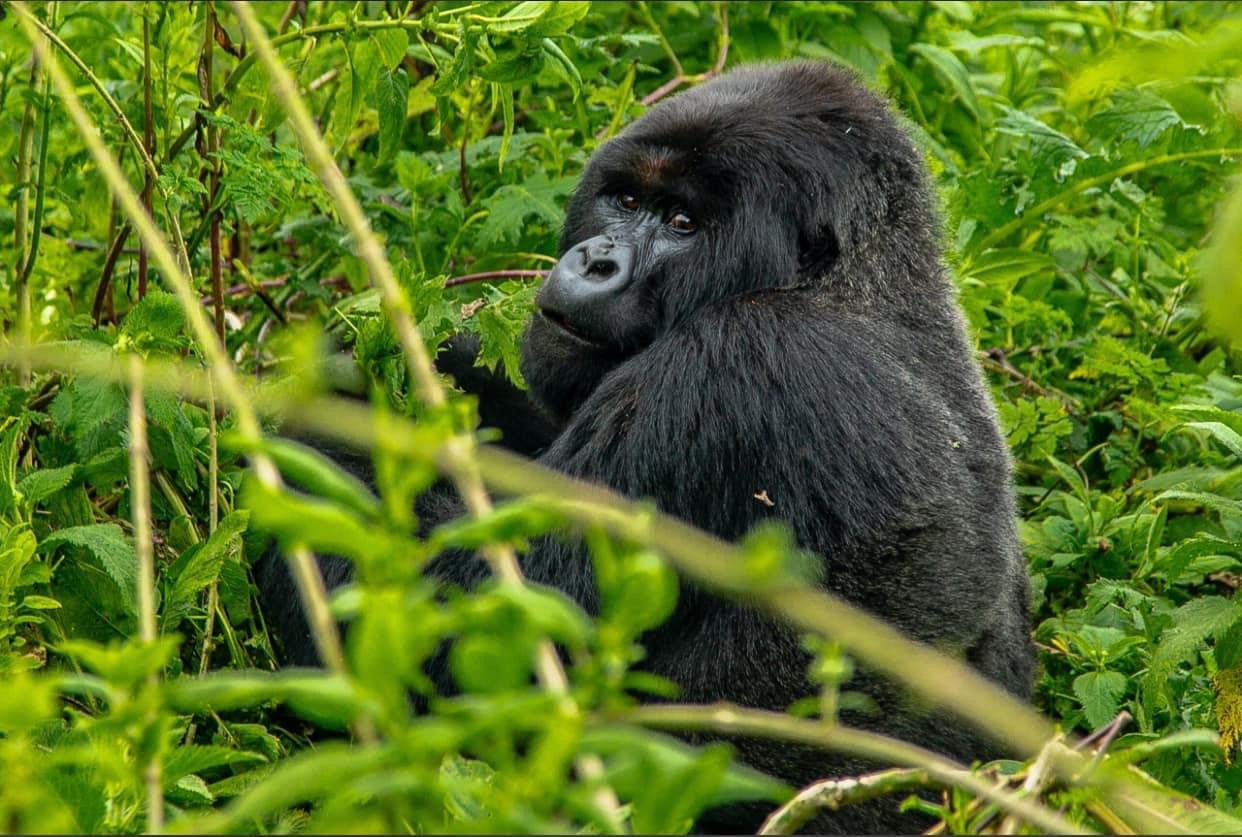 Attractions in Uganda