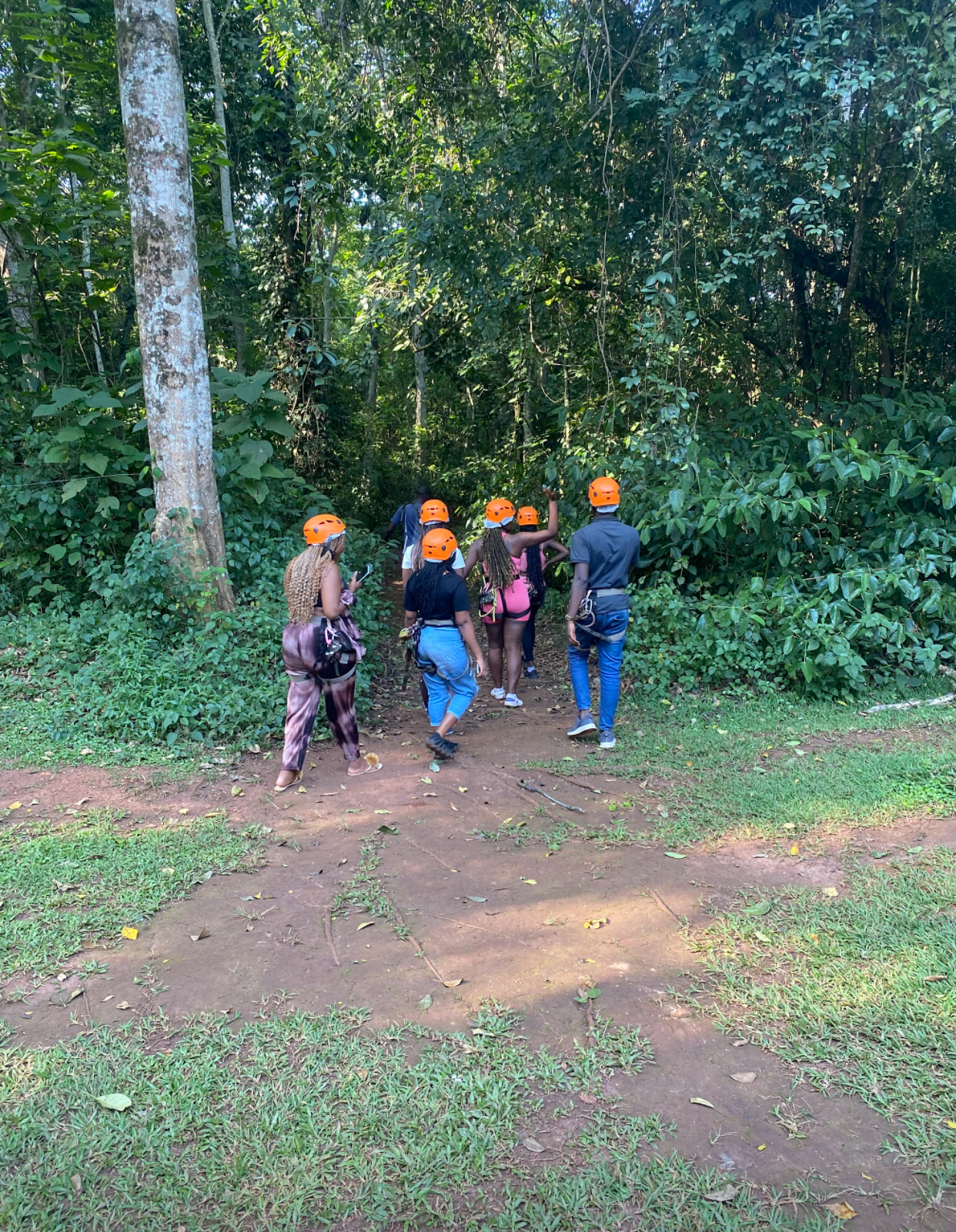 Mabira Forest Reserve