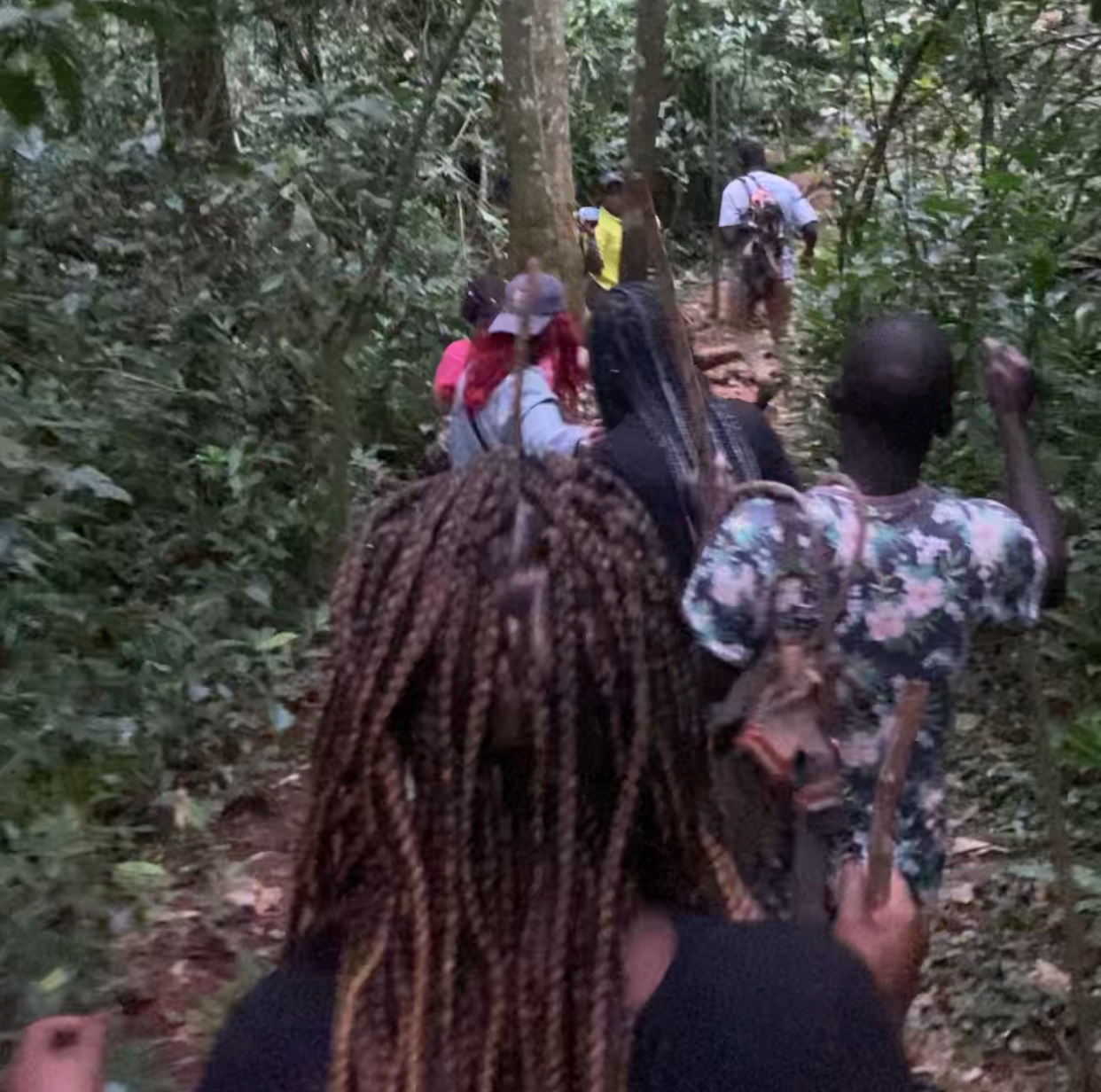 Mabira Tourism