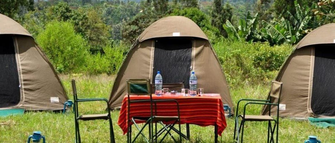 Budget Safari Packages