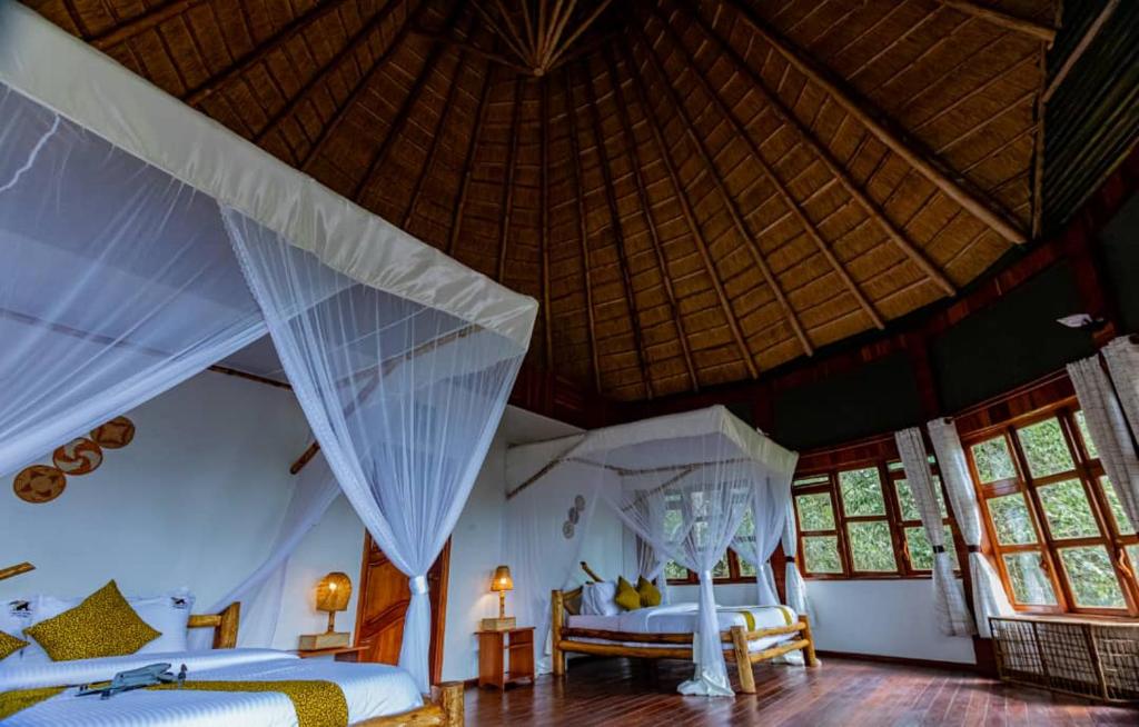 Safari Hotel Bigodi