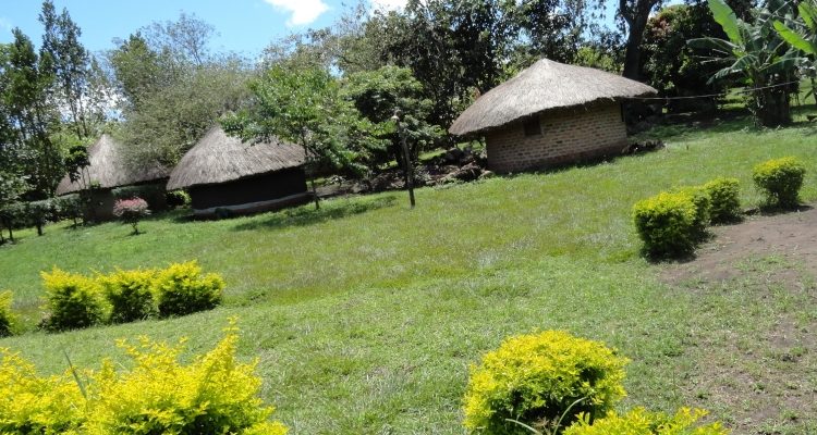 Boomu Women's Camp