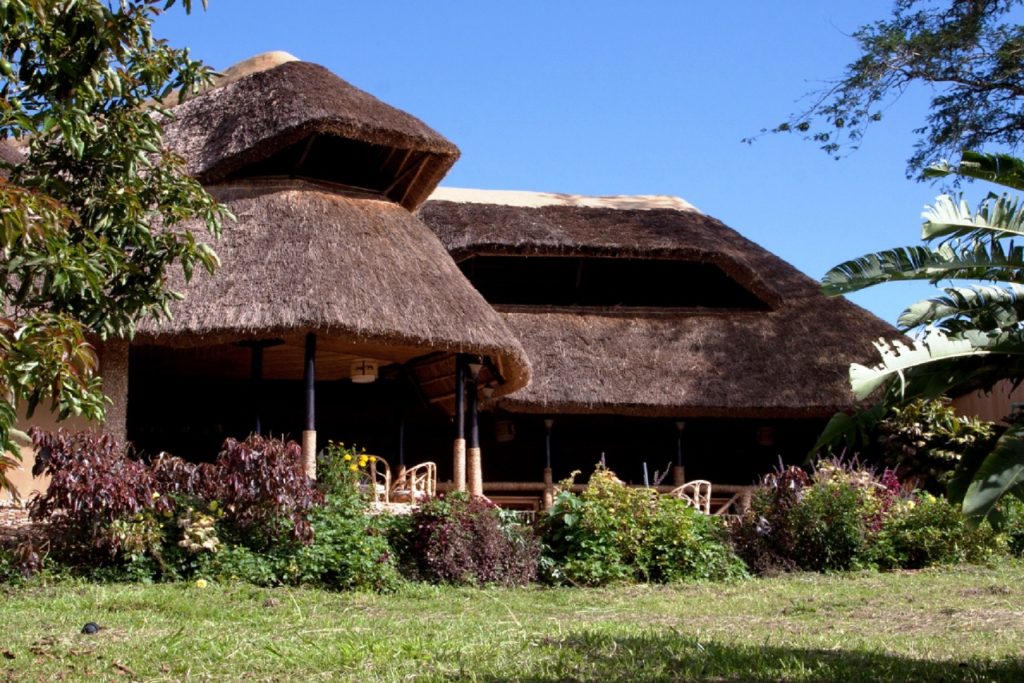 Chimp's Nest Lodge