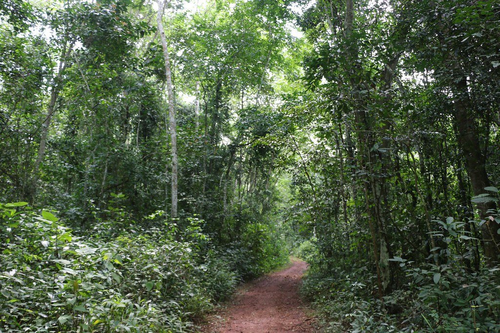Mabira Adventure Park