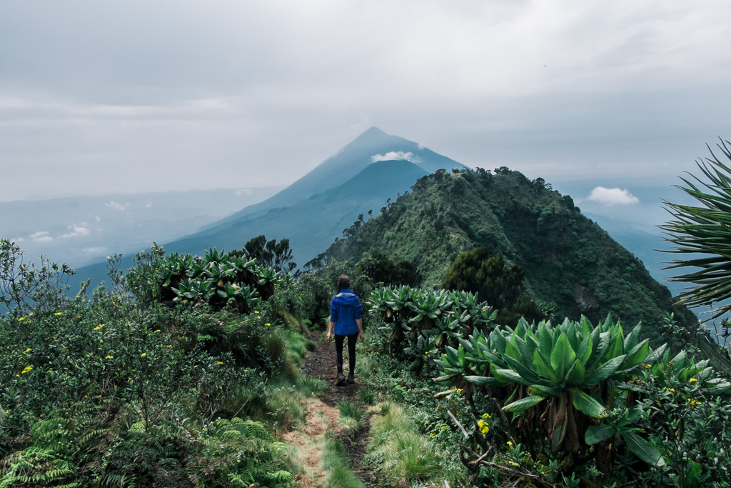 Uganda Hiking
