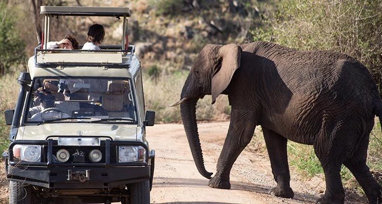 Queen Elizabeth Safari