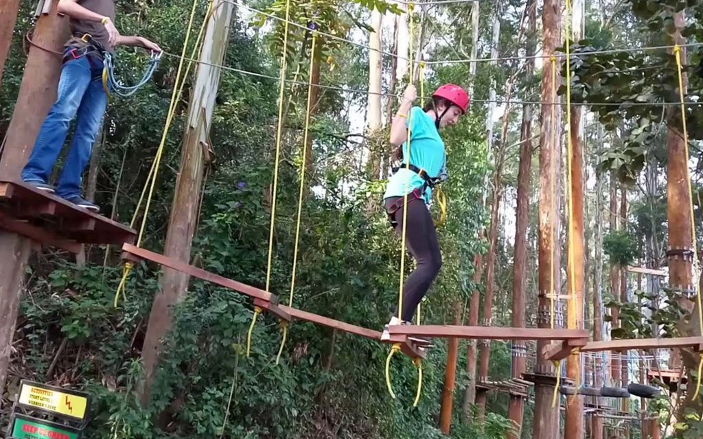 Forest Canopy Tours in Mabira Forest