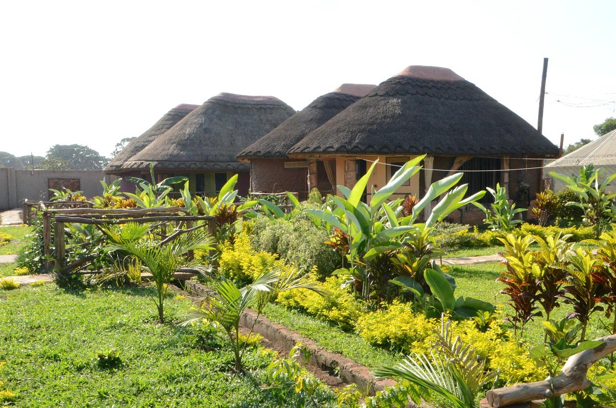 Eco-Agric Uganda