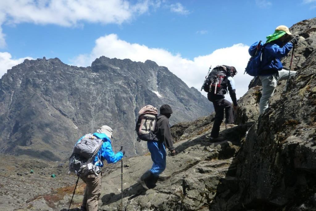 Rwenzori Mountains Hiking