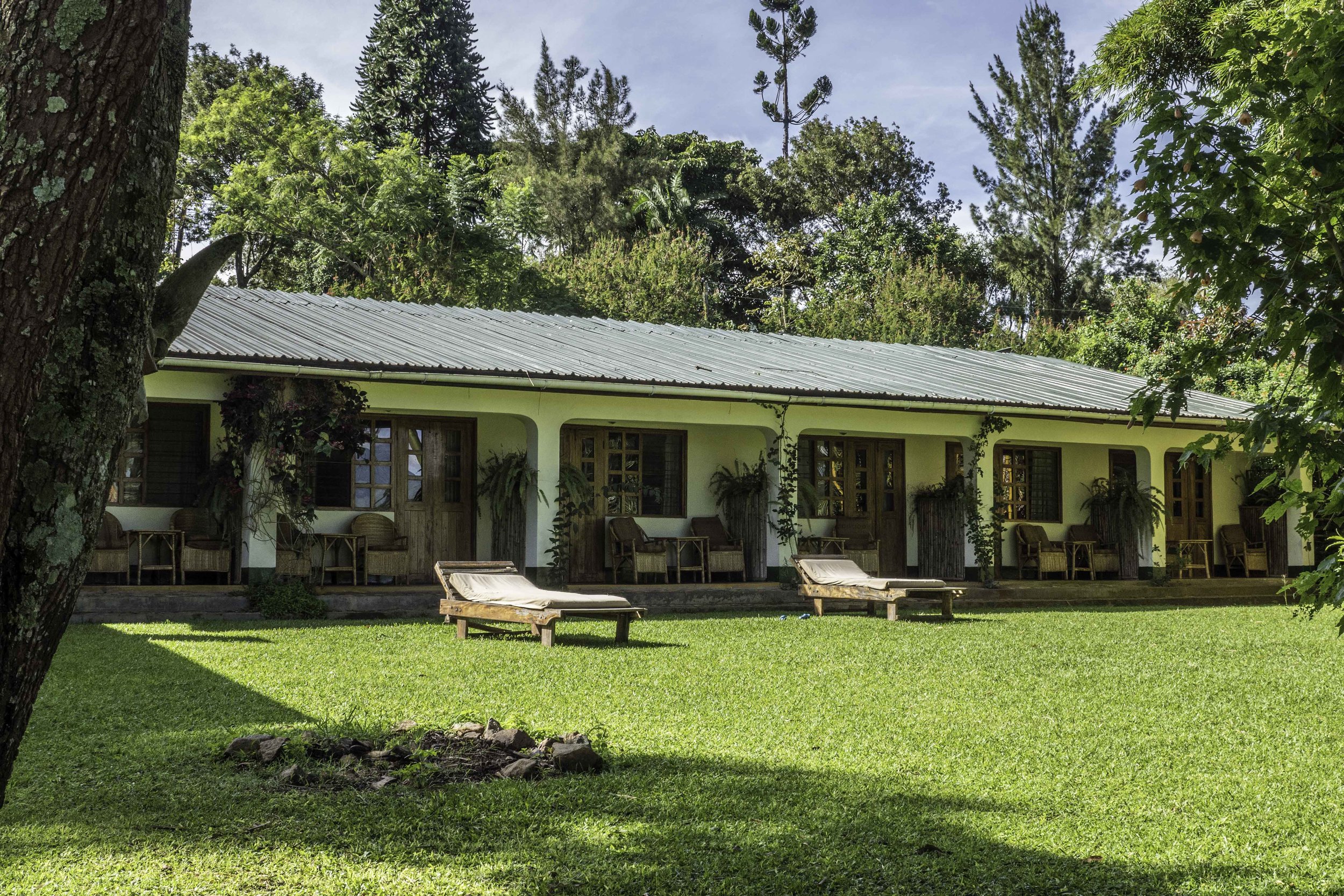 Rwenzori View Guesthouse