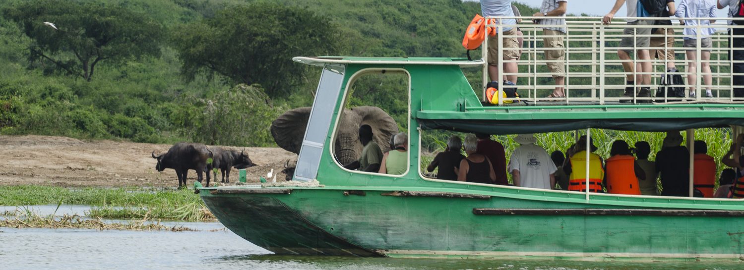 6-Day Uganda Wildlife Safari with Gorilla Trekking