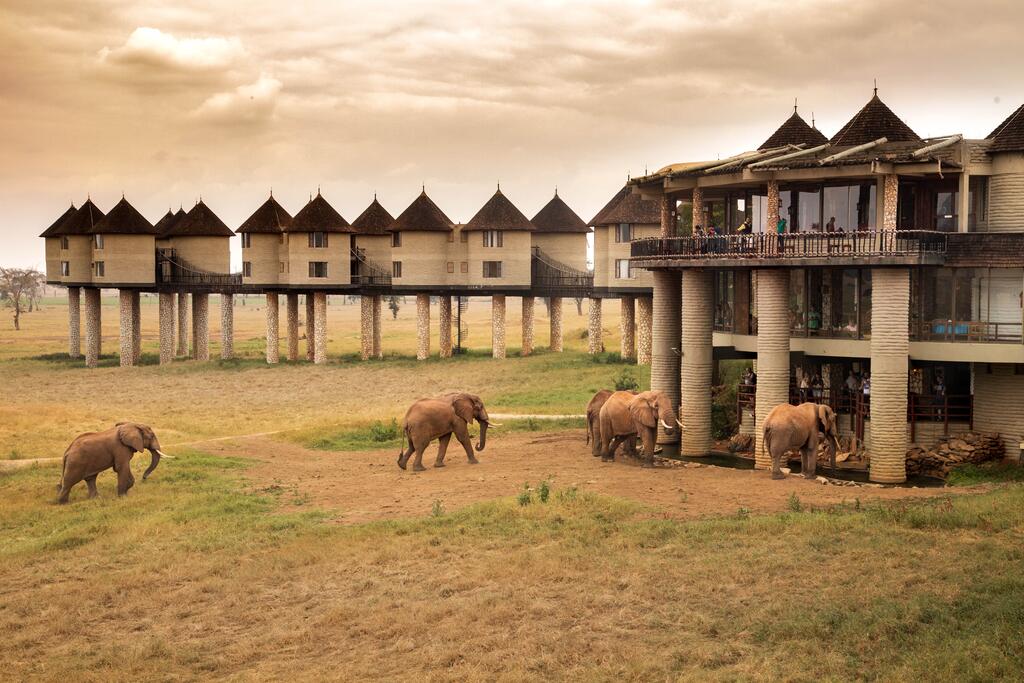 Sarova Salt Lick Game Lodge