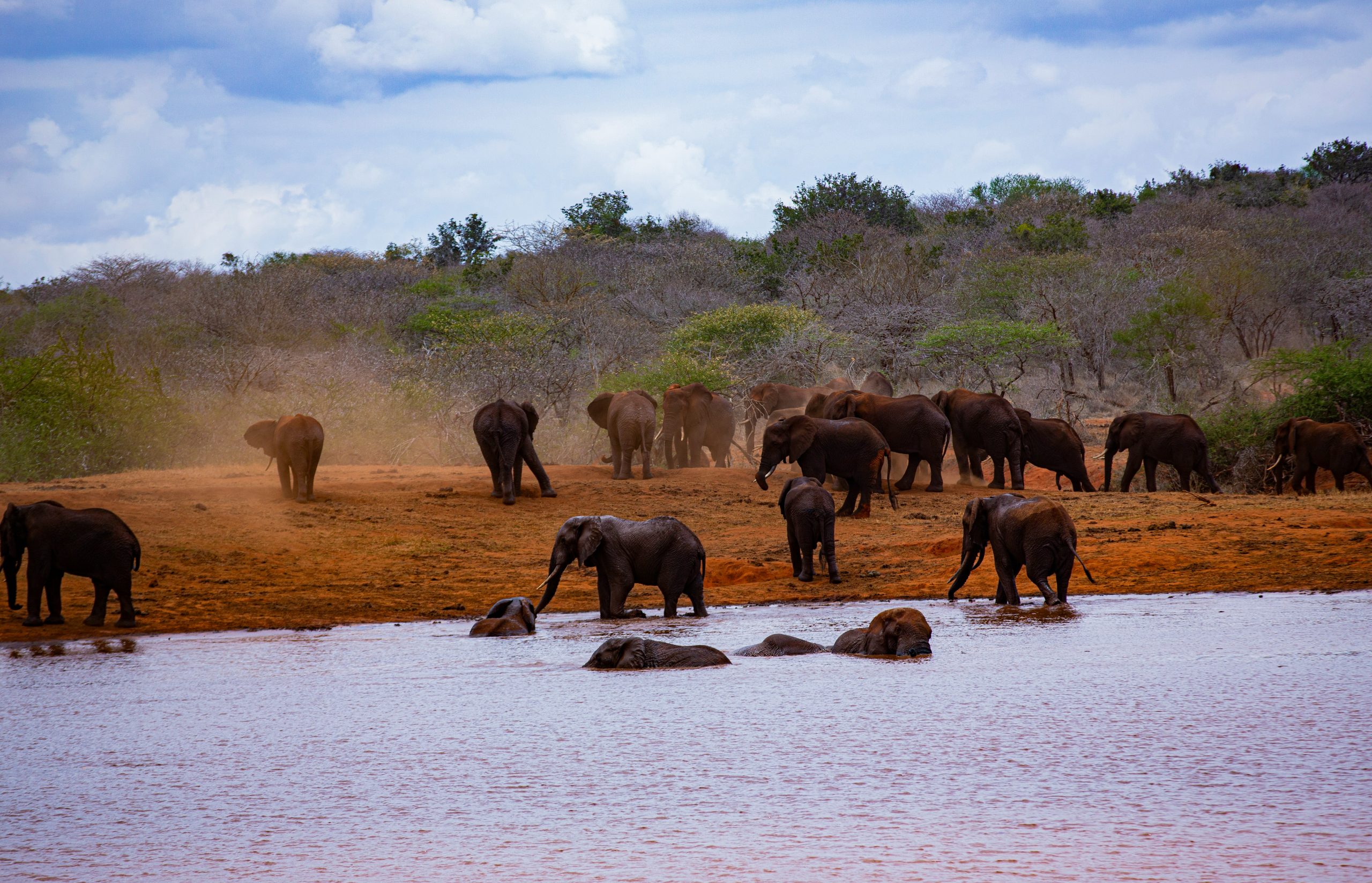 TSAVO NATIONAL PARK
