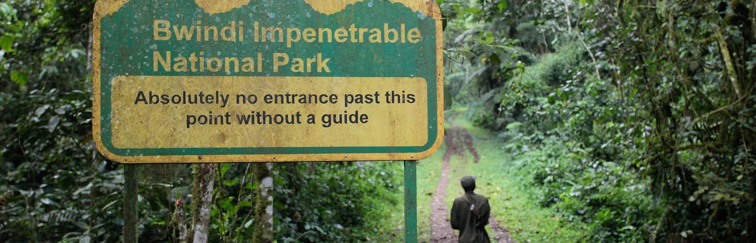 6-Day Uganda Wildlife Safari with Gorilla Trekking