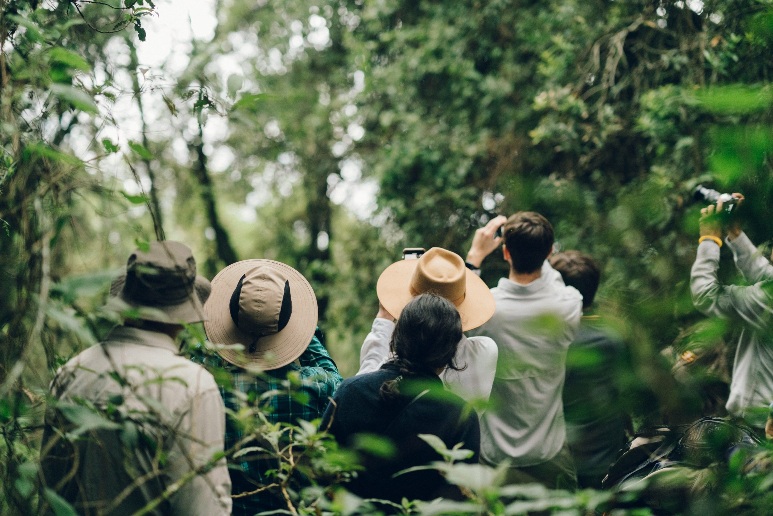Bwindi Hiking Packages